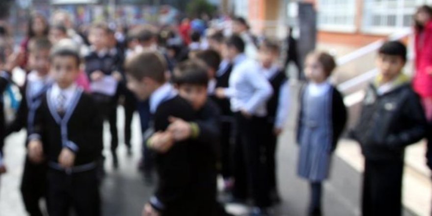 "TIMSS ve PISA, Türkiye'de anadili farklılığını da vurgulamalı"