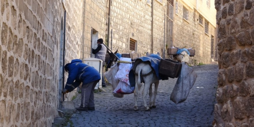 Mardin’in çöpü kadrolu eşeklerin sırtında