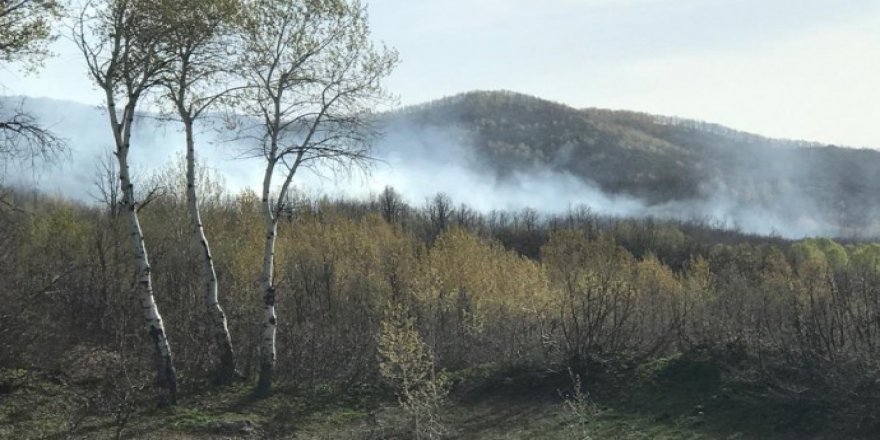 Ovacık'ta operasyon sonrası orman yangını