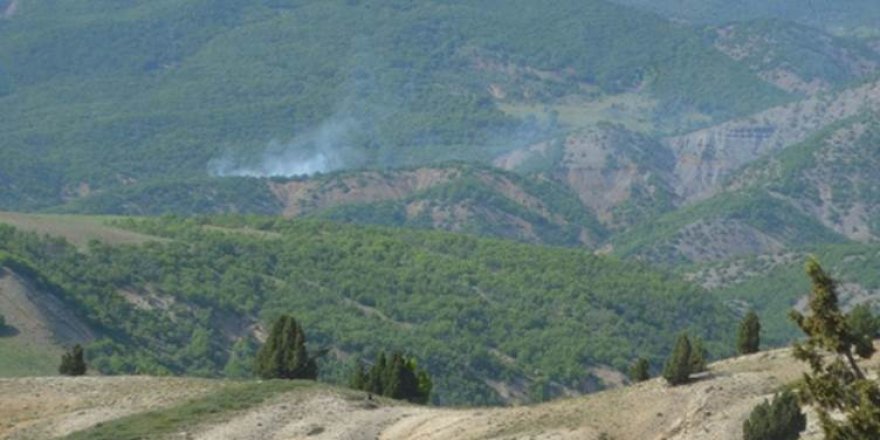  Dersim’deki orman yangını sürüyor