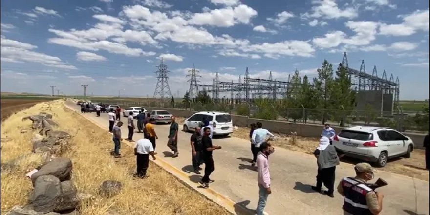 Siverekli çiftçiler: DEDAŞ tarladaki pamuğun, mısırın kurumasını istiyor