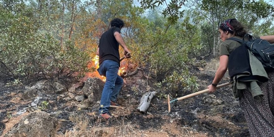 Dersim Kültür ve Sanat İnisiyatifi'nden yangınlar için çağrı