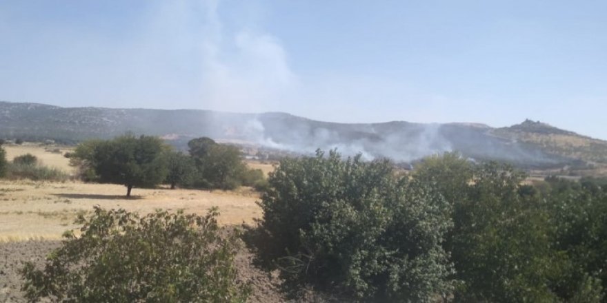 Lice'deki yangın kendiliğinden söndü