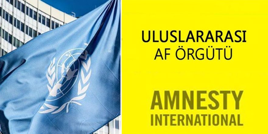 Af Örgütü'nden BM'ye tepki: "Diplomatik tiyatro" mesajı!