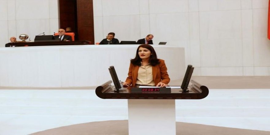 HDP'li Semra Güzel'in milletvekilliği düşürüldü