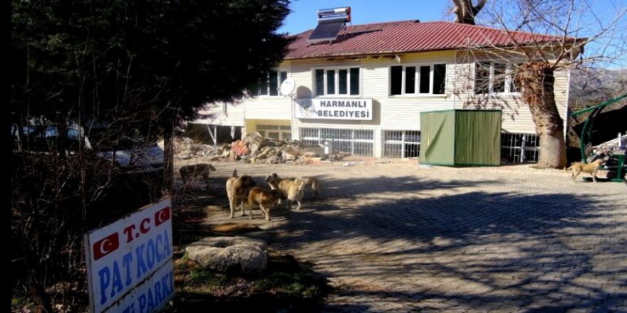 Adıyaman’ın 2 bin nüfuslu beldesi Harmanlı haritadan silindi, yerleşim terk edildi, nüfus 100’ün altına düştü