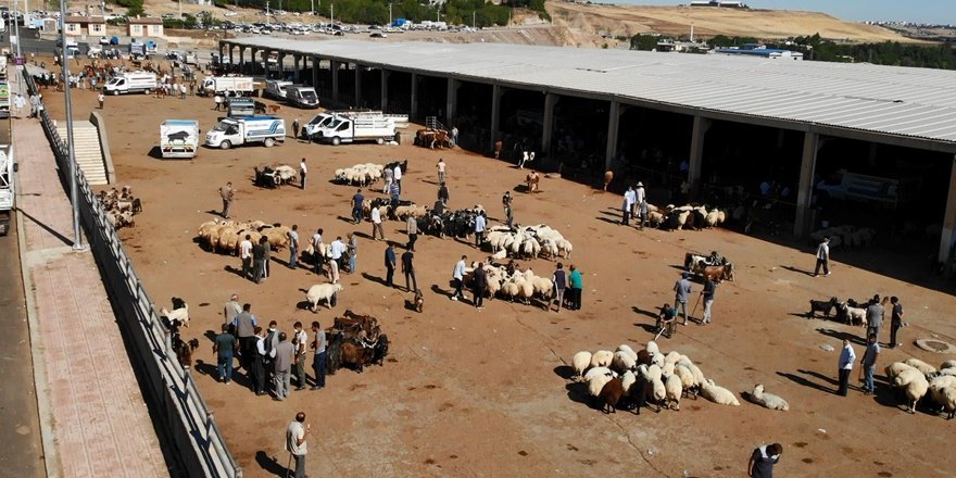 Birçok ilde görülen hastalık Diyarbakır'a da sıçradı!