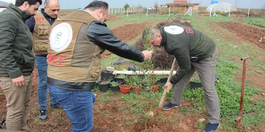 Mele Mustafa Barzani anısına Diyarbakır’da fidan dikildi