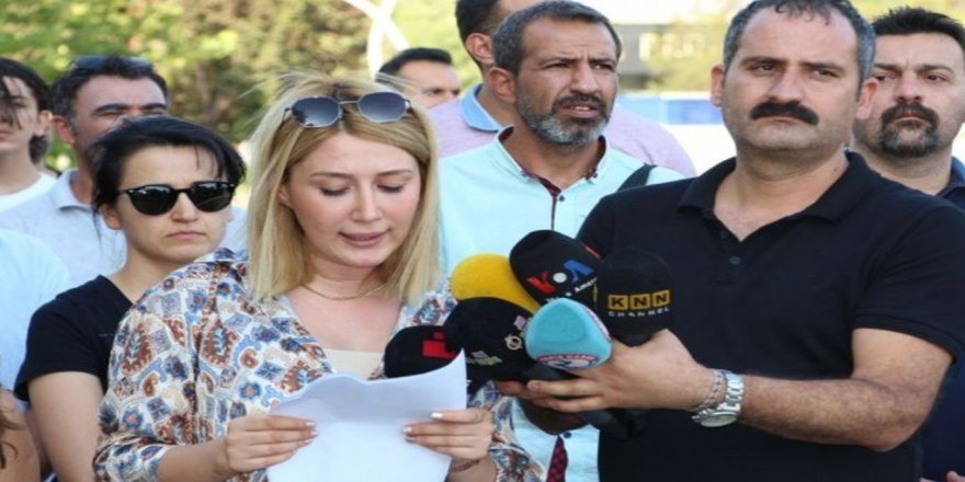 Amed Demokrasi Platformu: Yasal yollarla doğa ve yaşam suçları işleniyor