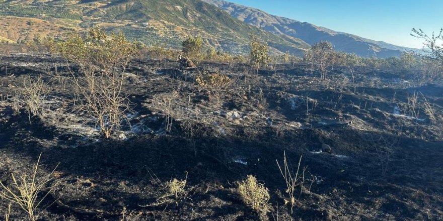 Elazığ’da yangın: 4 yaralı, yüzlerce kayısı ağacı yandı