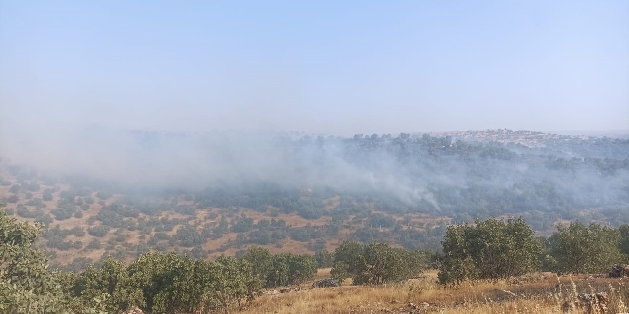 Mardin'de 5 ayrı noktada yangın çıktı