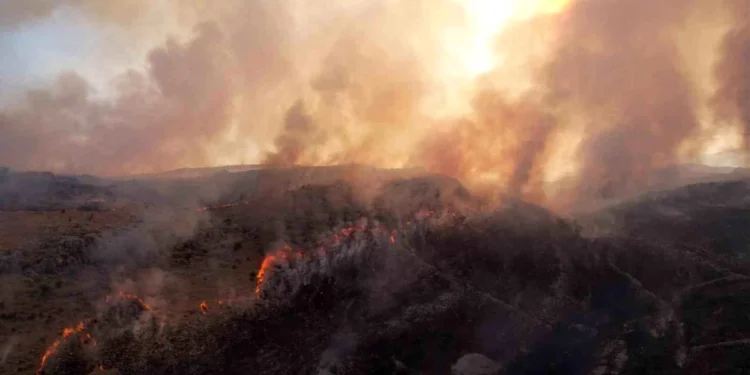 Adıyaman’da otluk alanda çıkan yangın ormanlık alana sıçradı