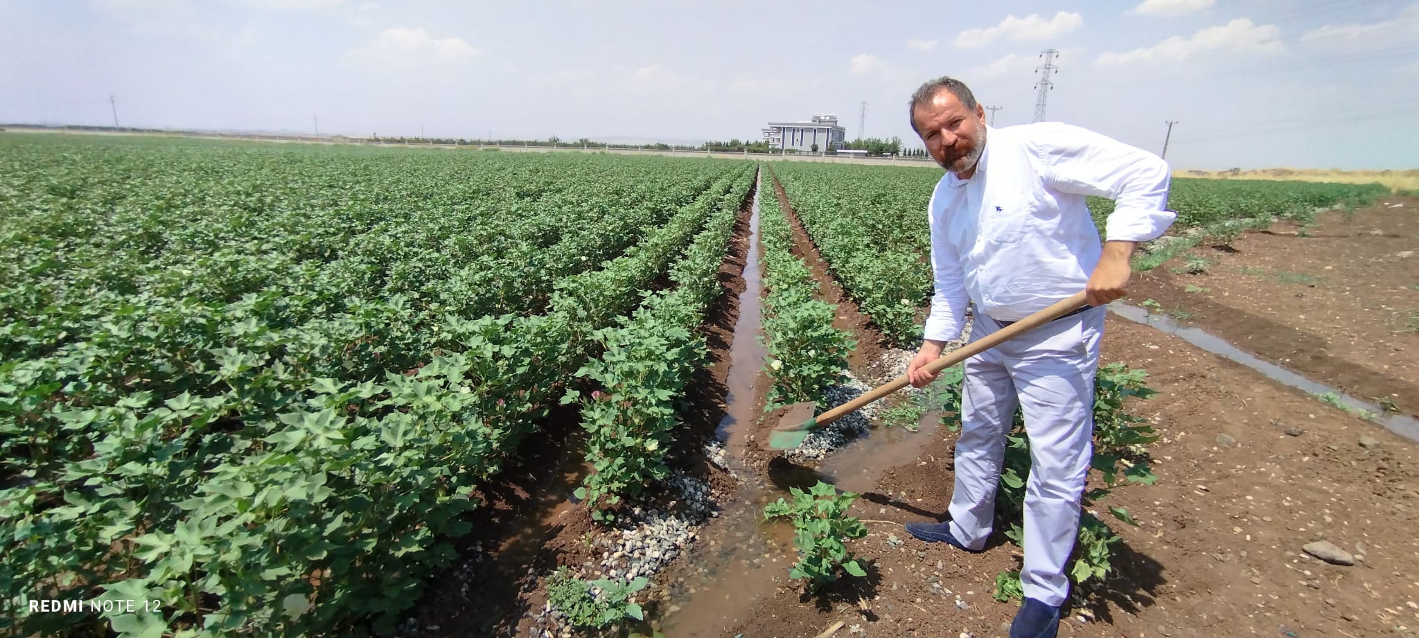 Diyarbakır’dan, yangında zarar görenler için destek çağrısı