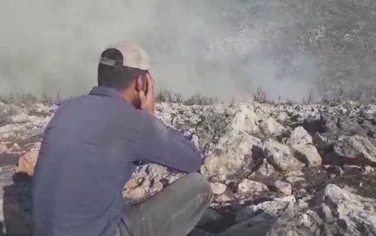 Silahlı gruplar ve Arap yerleşimciler Efrin’de ağaçları ateşe verdi