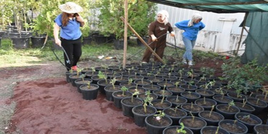 Diyarbakır’ın bitki üreten kadınları