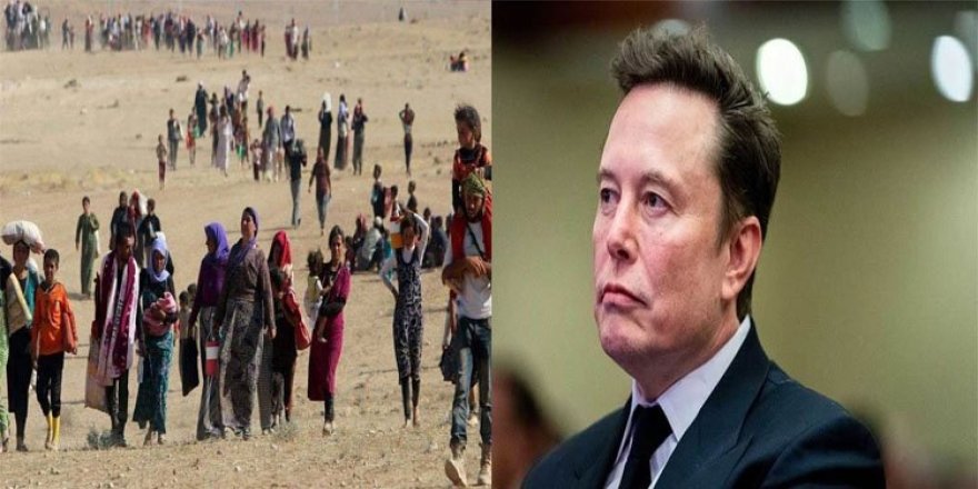 Irak Başbakanı'nın Ezidi Danışmanı Elon Musk'ı Şengal'e davet etti