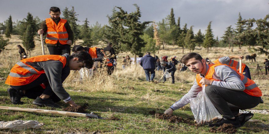 Güney Kürdistan'da meşe palamudu ekme kampanyası start aldı